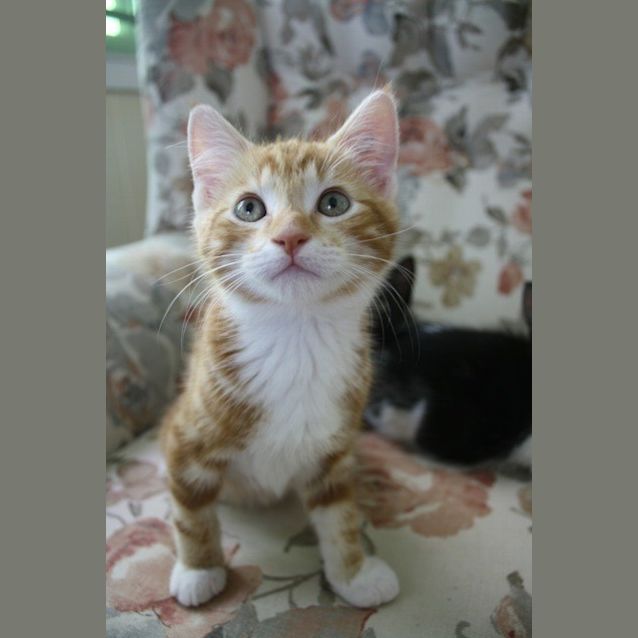 Photo of Scrabble