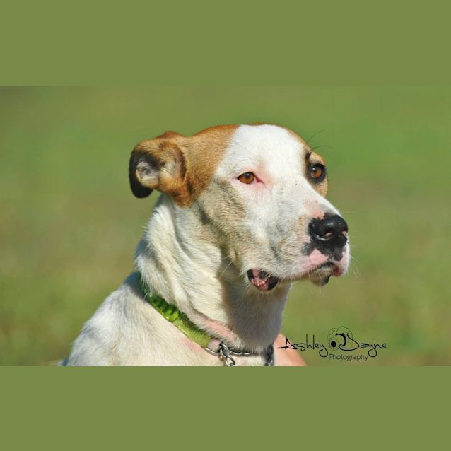 Photo of Macy