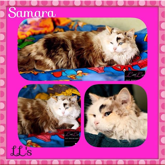 Photo of Samara