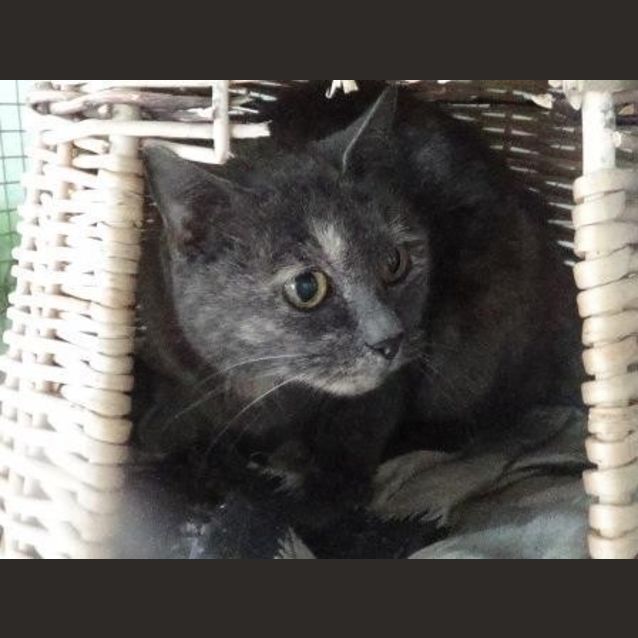 Photo of Morticia