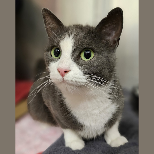 Photo of Delilah