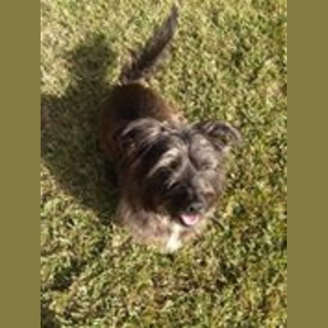 Photo of Pepper