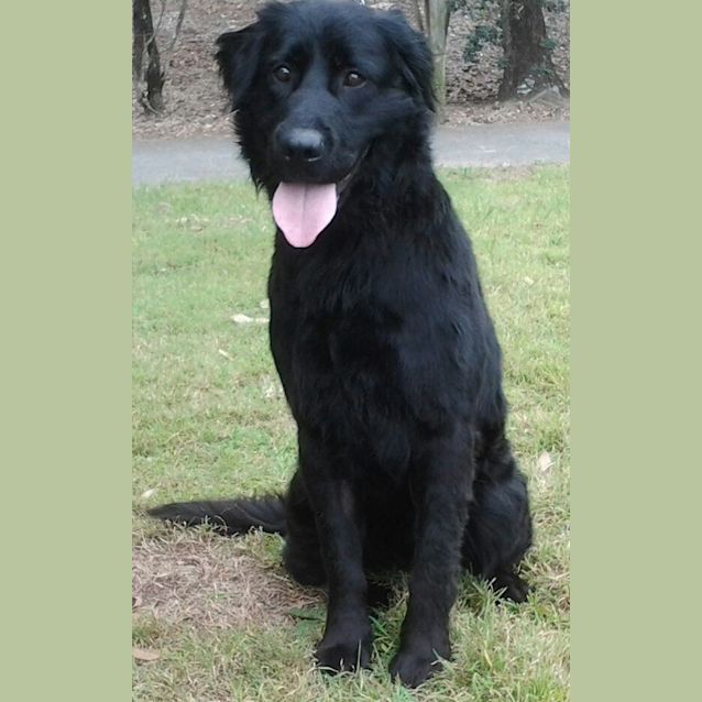 Photo of 091 3760 Cooper