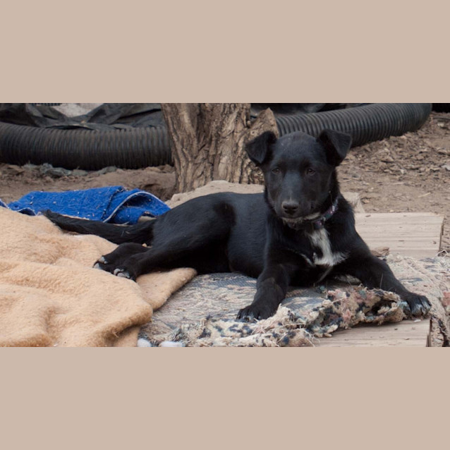 Photo of Mable