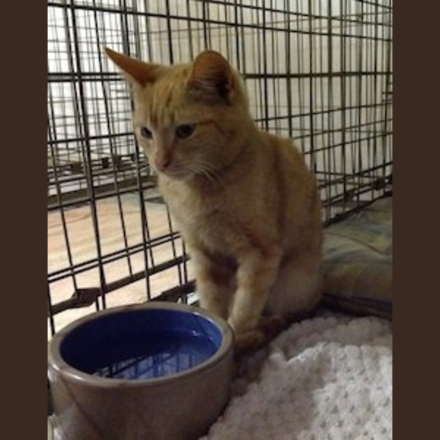 Photo of Fred (Be C20030)
