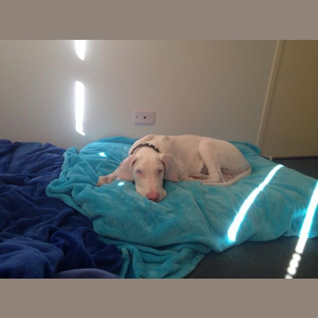 Photo of Echo 