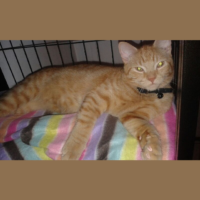 Photo of Fred & George 