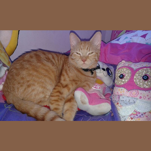 Photo of Fred & George 