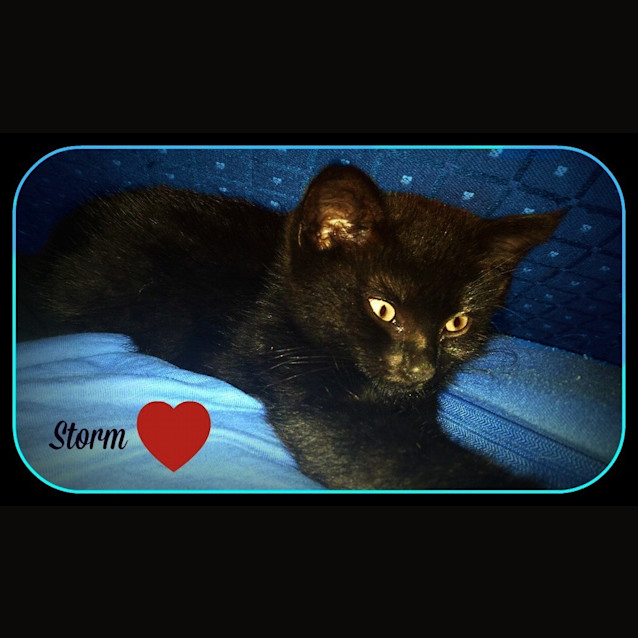 Photo of Storm