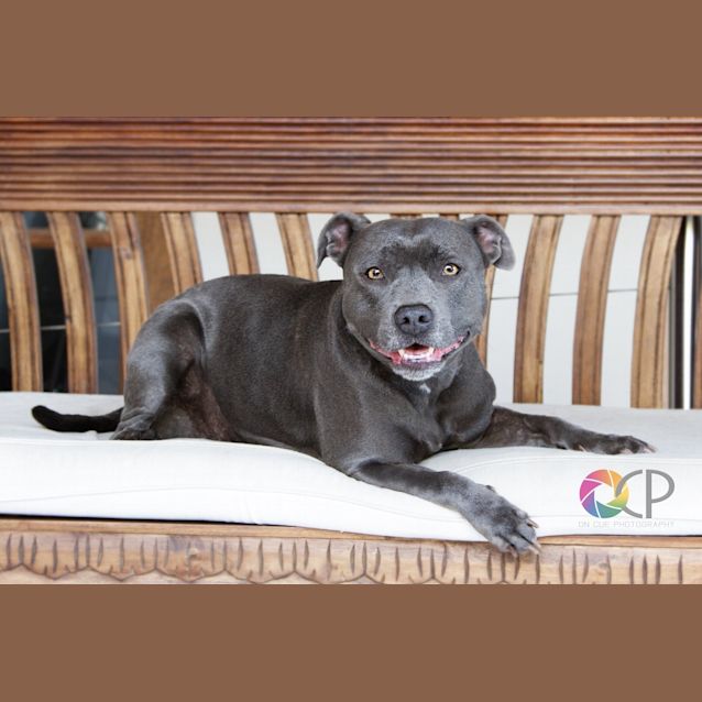 Photo of Shanti
