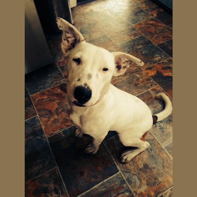 Photo of Miss Mollie