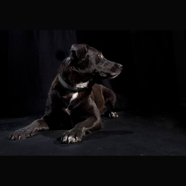 Photo of Milly