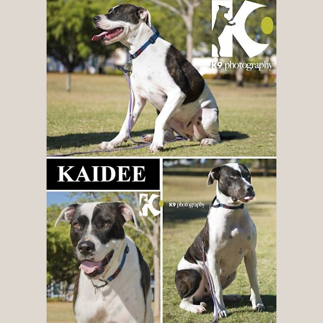 Photo of Kaidee