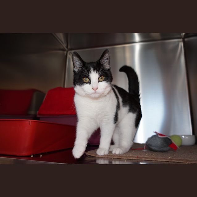 Photo of Millie