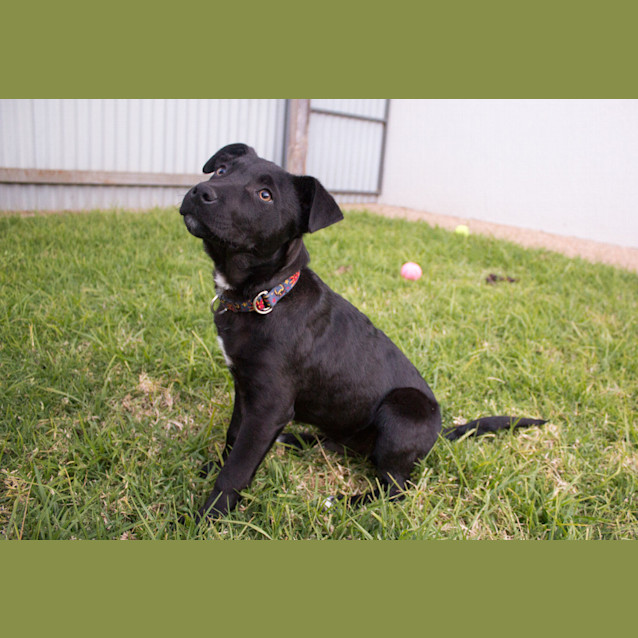 Photo of Cruze