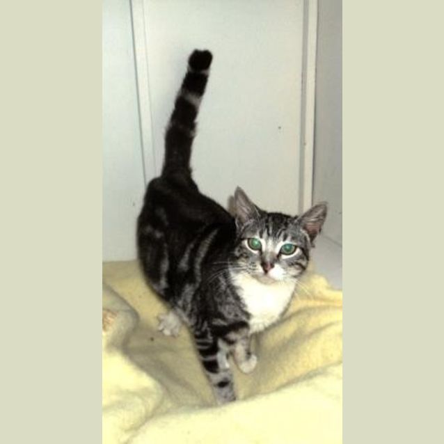 Photo of Twirl