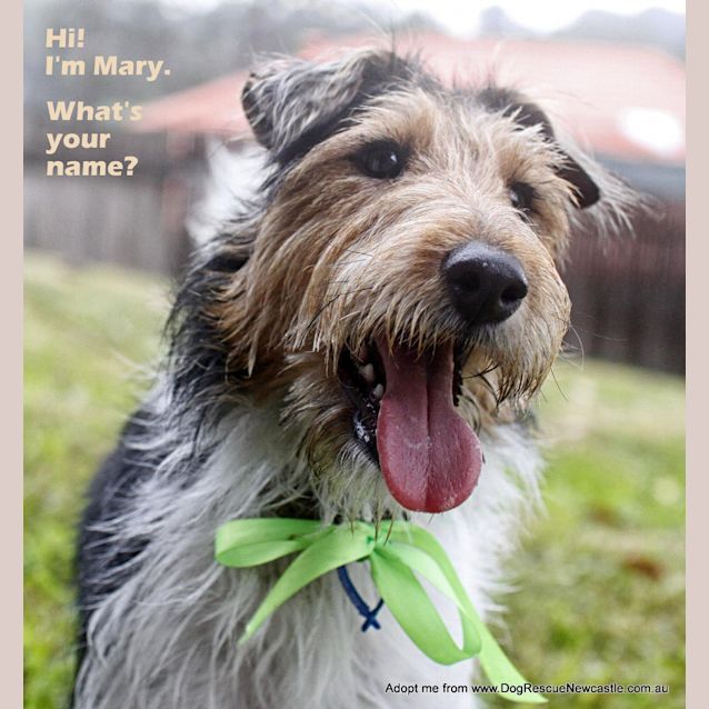 Photo of Mary Robin (On Trial 7/9/14)
