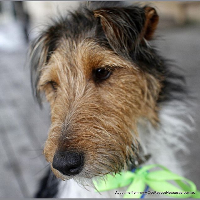 Photo of Mary Robin (On Trial 7/9/14)