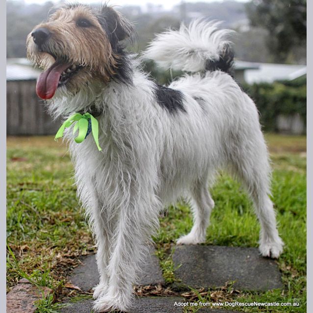 Photo of Mary Robin (On Trial 7/9/14)