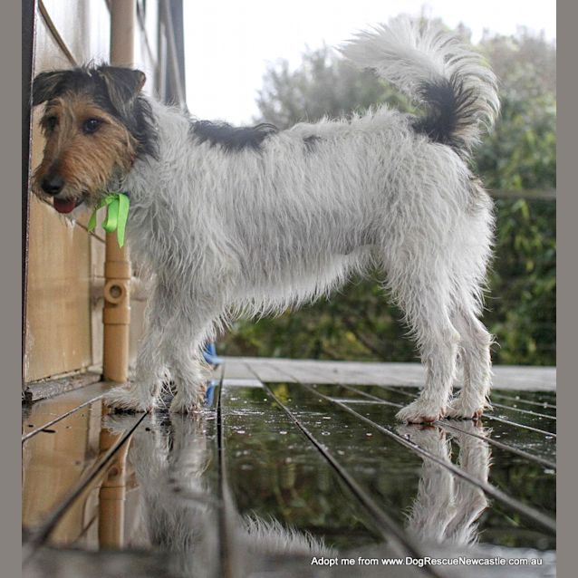 Photo of Mary Robin (On Trial 7/9/14)