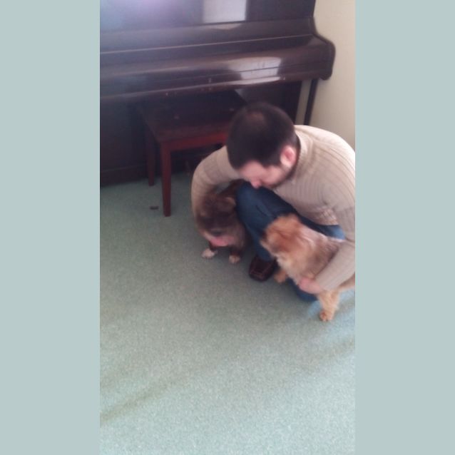 Photo of Meeko (On Trial 31/8/14)