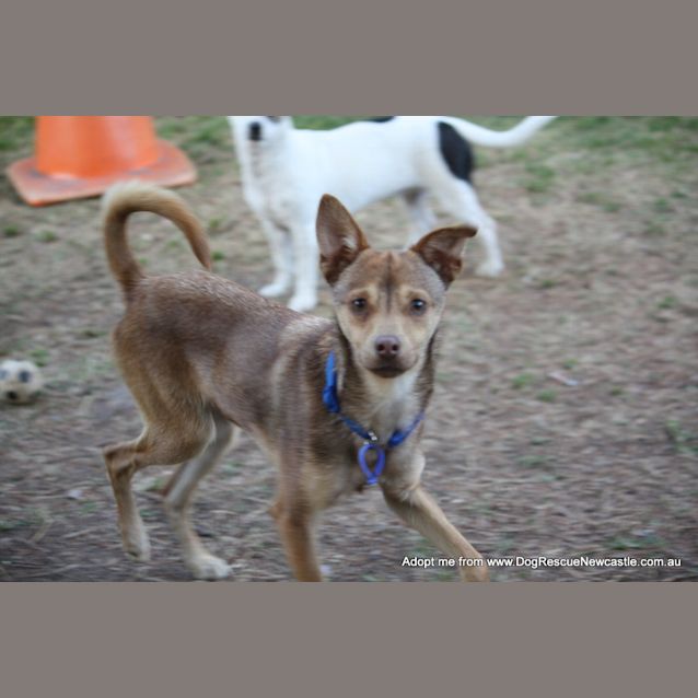 Photo of Cheech (On Trial 23/9/14)