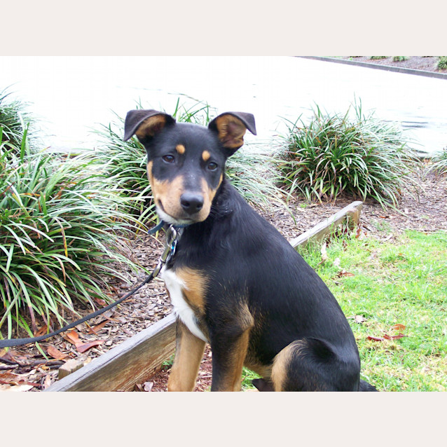 Photo of Regie (Ben)