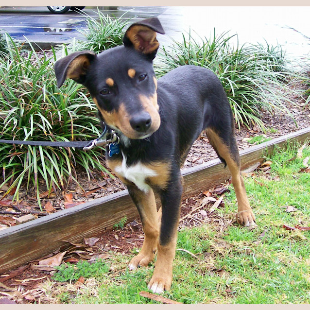 Photo of Regie (Ben)