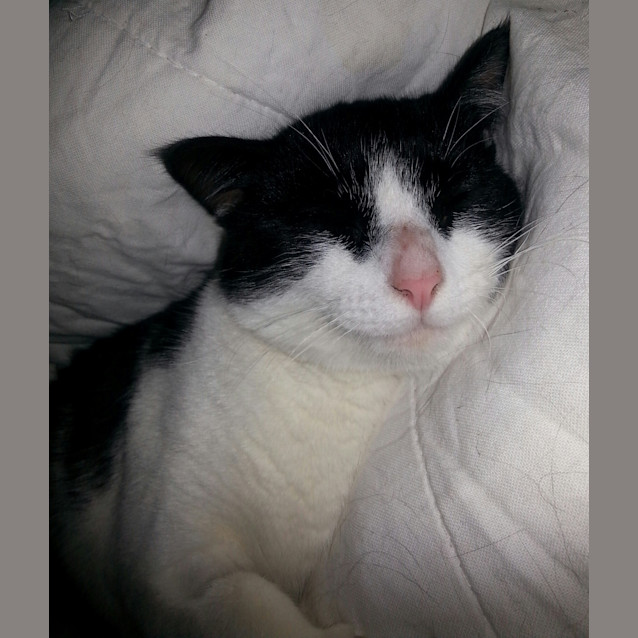 Photo of Felix Batkit