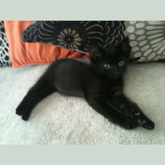 Photo of Princess Joy