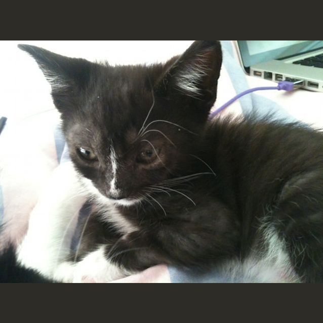 Photo of Captain Jasper