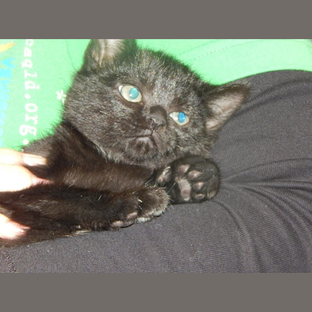 Photo of Baxter