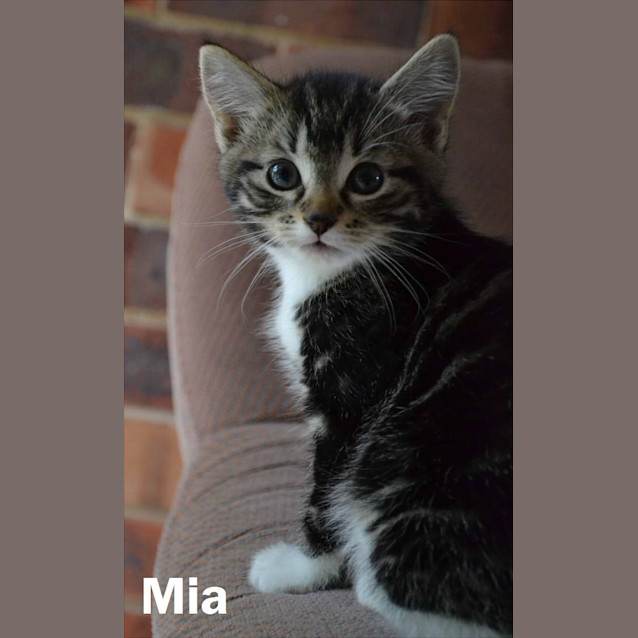 Photo of Mia & Blossom