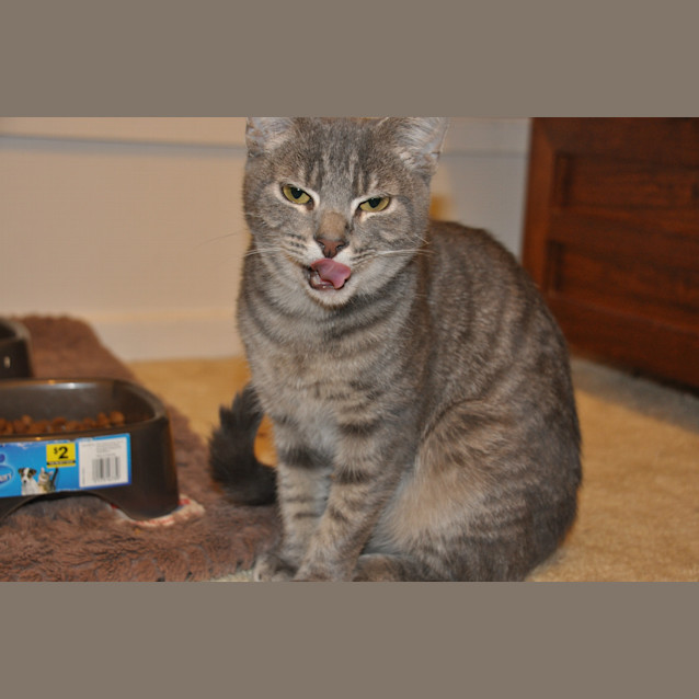 Photo of Arthur