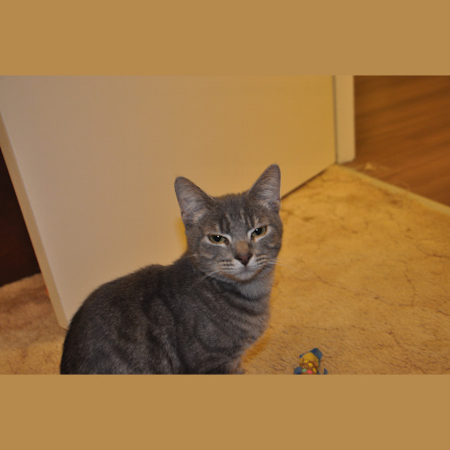 Photo of Arthur