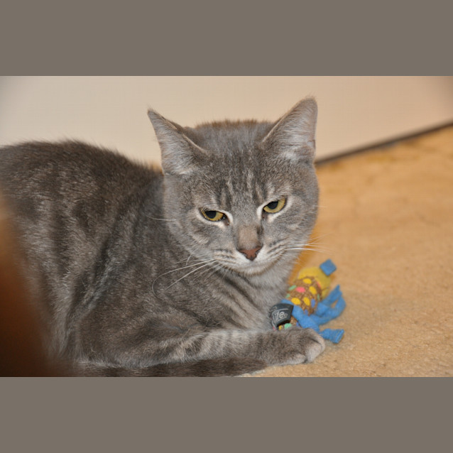 Photo of Arthur