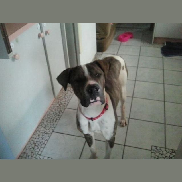 Photo of Leah