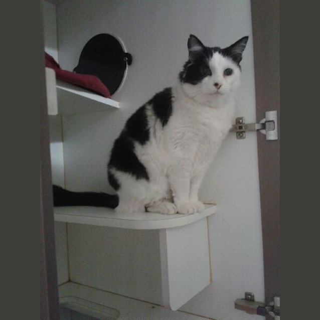 Photo of Harold
