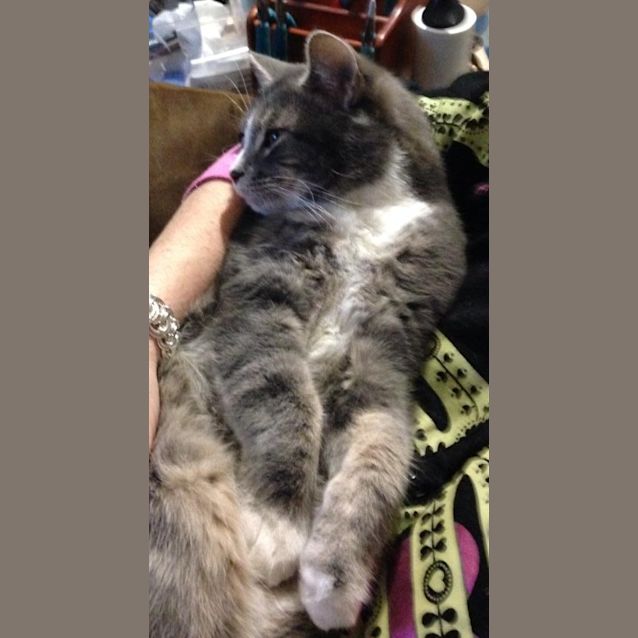 Photo of Buzz