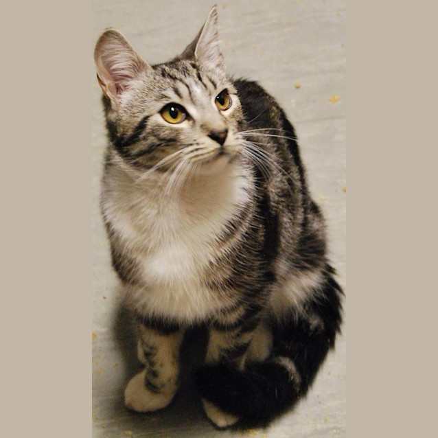 Photo of Nova