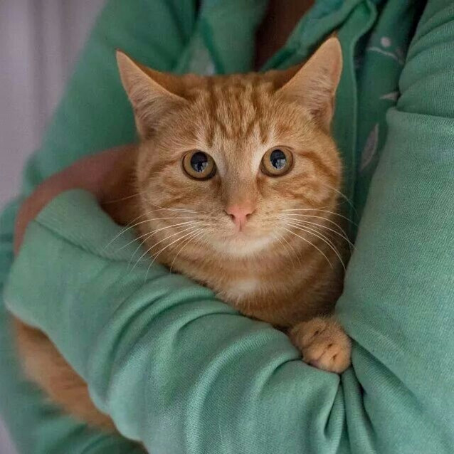 Photo of Ricki (Ready To Go)