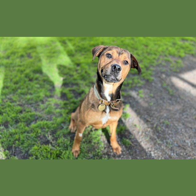 Photo of Molly