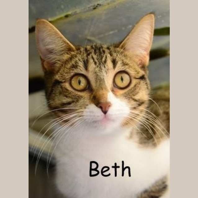 Photo of Beth