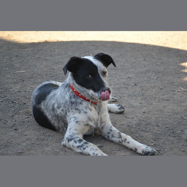 Photo of Murphey