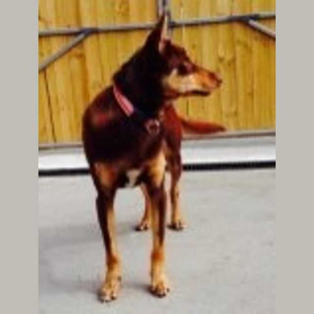 Photo of Molly