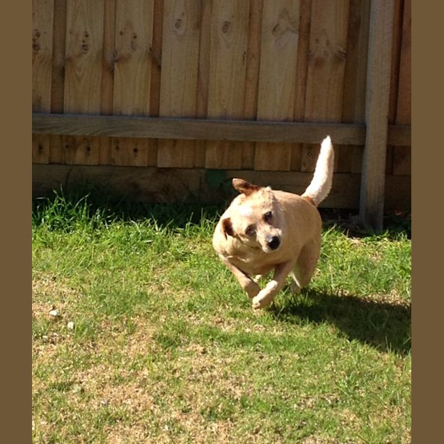 Photo of Georgie