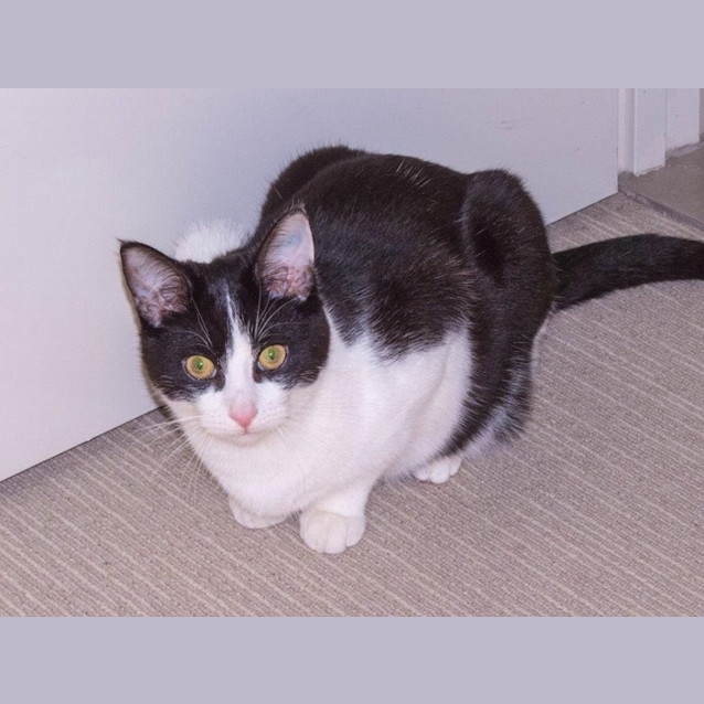 Photo of Turbo