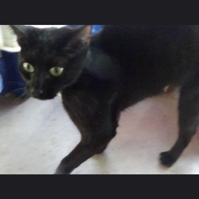 Photo of Sapphire