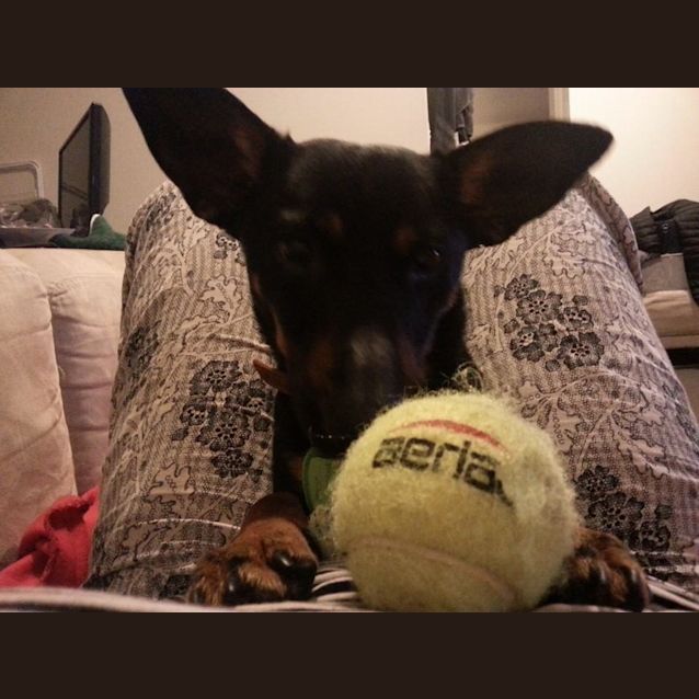 Photo of Monty