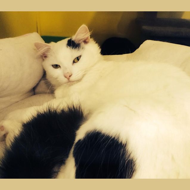 Photo of Cassie